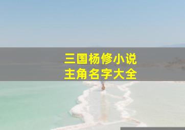 三国杨修小说主角名字大全