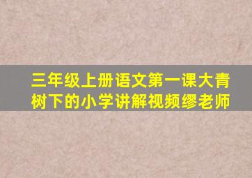 三年级上册语文第一课大青树下的小学讲解视频缪老师