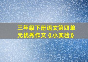 三年级下册语文第四单元优秀作文《小实验》