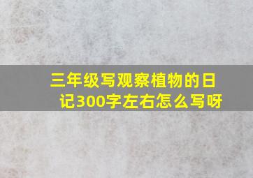 三年级写观察植物的日记300字左右怎么写呀