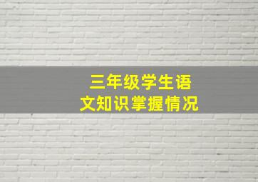 三年级学生语文知识掌握情况