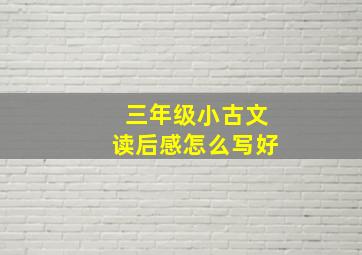 三年级小古文读后感怎么写好