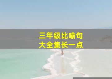 三年级比喻句大全集长一点