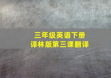 三年级英语下册译林版第三课翻译