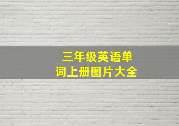 三年级英语单词上册图片大全