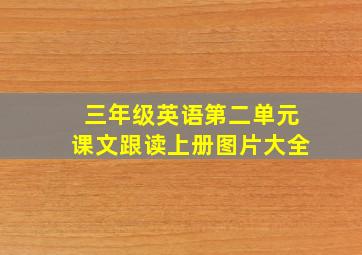 三年级英语第二单元课文跟读上册图片大全