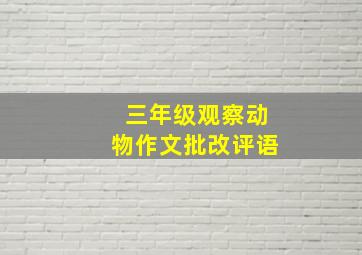 三年级观察动物作文批改评语