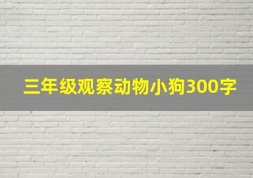 三年级观察动物小狗300字