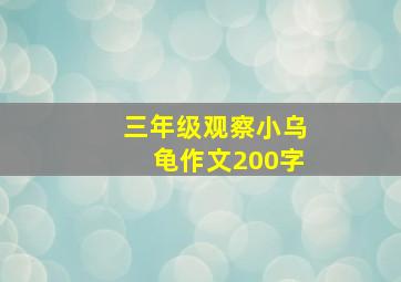 三年级观察小乌龟作文200字