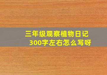 三年级观察植物日记300字左右怎么写呀