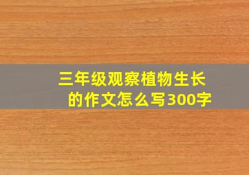 三年级观察植物生长的作文怎么写300字