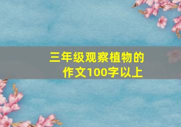 三年级观察植物的作文100字以上