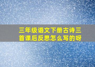 三年级语文下册古诗三首课后反思怎么写的呀