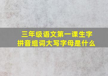 三年级语文第一课生字拼音组词大写字母是什么