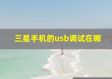 三星手机的usb调试在哪