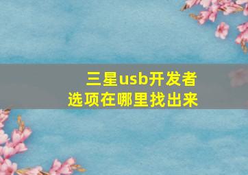 三星usb开发者选项在哪里找出来