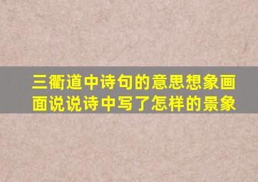 三衢道中诗句的意思想象画面说说诗中写了怎样的景象