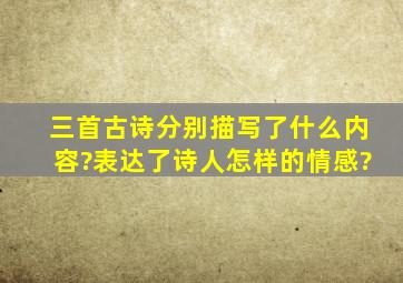 三首古诗分别描写了什么内容?表达了诗人怎样的情感?