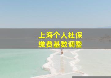 上海个人社保缴费基数调整