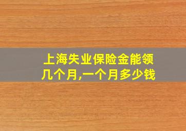 上海失业保险金能领几个月,一个月多少钱