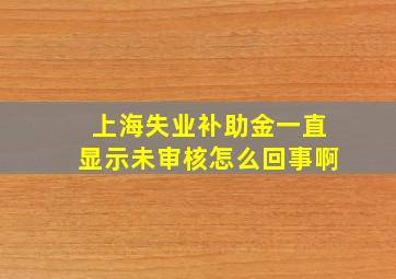 上海失业补助金一直显示未审核怎么回事啊