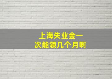 上海失业金一次能领几个月啊