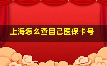 上海怎么查自己医保卡号