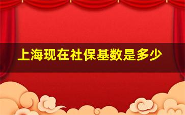 上海现在社保基数是多少