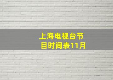 上海电视台节目时间表11月