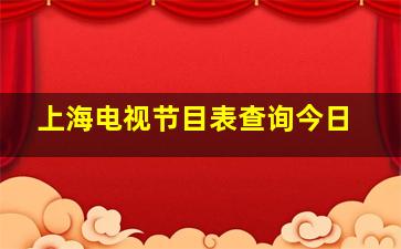 上海电视节目表查询今日