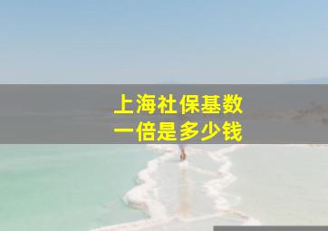 上海社保基数一倍是多少钱