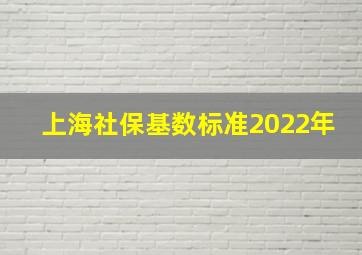 上海社保基数标准2022年