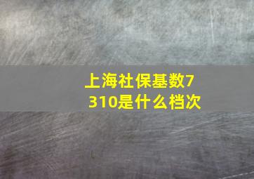 上海社保基数7310是什么档次