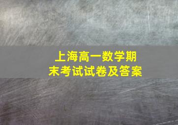 上海高一数学期末考试试卷及答案