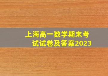 上海高一数学期末考试试卷及答案2023