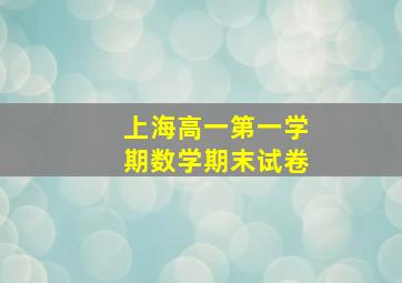 上海高一第一学期数学期末试卷