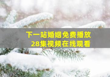 下一站婚姻免费播放28集视频在线观看