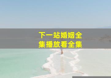 下一站婚姻全集播放看全集