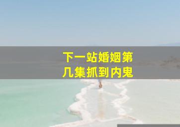 下一站婚姻第几集抓到内鬼