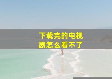 下载完的电视剧怎么看不了