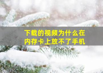 下载的视频为什么在内存卡上放不了手机