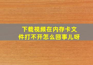 下载视频在内存卡文件打不开怎么回事儿呀