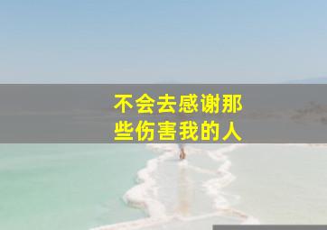 不会去感谢那些伤害我的人