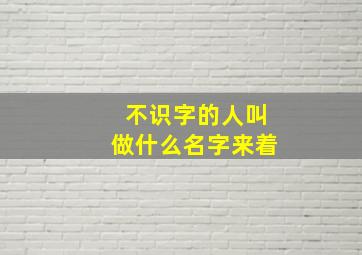 不识字的人叫做什么名字来着