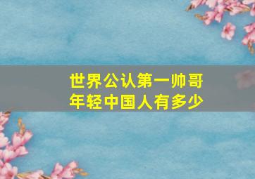 世界公认第一帅哥年轻中国人有多少