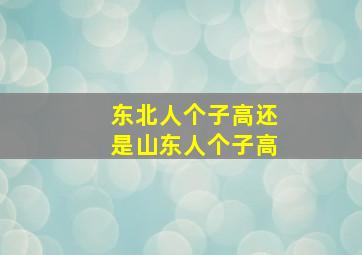 东北人个子高还是山东人个子高