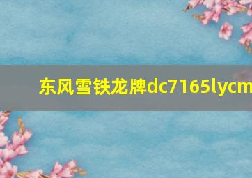 东风雪铁龙牌dc7165lycm