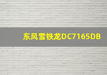 东风雪铁龙DC7165DB