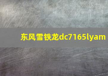 东风雪铁龙dc7165lyam