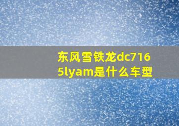 东风雪铁龙dc7165lyam是什么车型